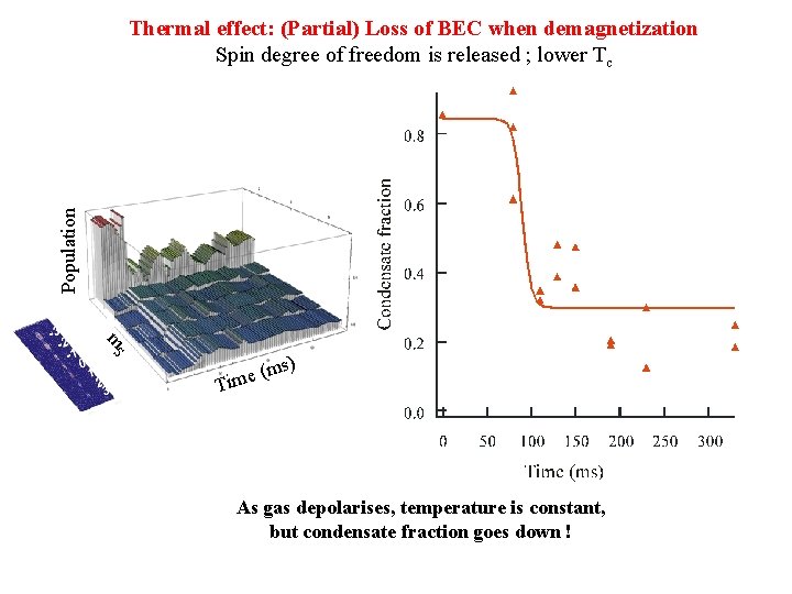 Population Thermal effect: (Partial) Loss of BEC when demagnetization Spin degree of freedom is Population Thermal effect: (Partial) Loss of BEC when demagnetization Spin degree of freedom is