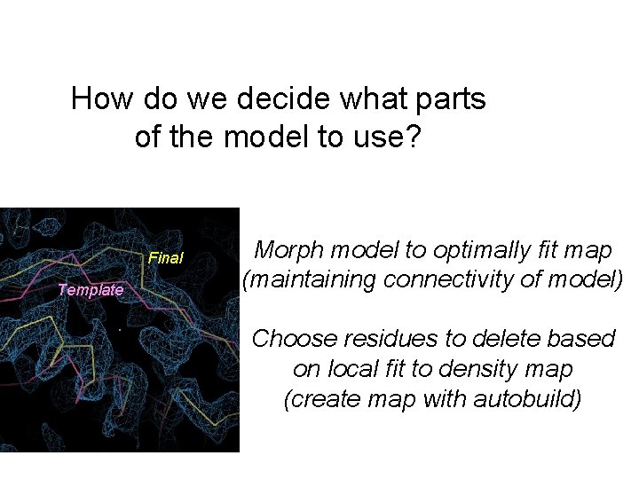 How do we decide what parts of the model to use? Final Template Morph