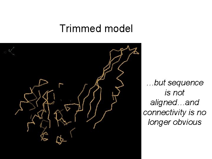 Trimmed model …but sequence is not aligned…and connectivity is no longer obvious 