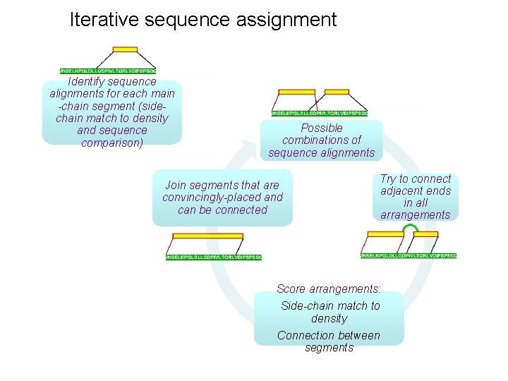 Iterative sequence assignment Identify sequence alignments for each main -chain segment (sidechain match to