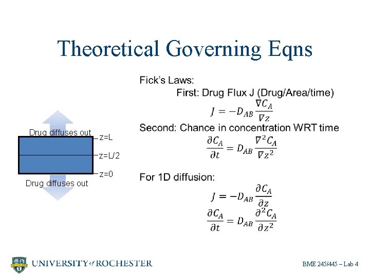 Theoretical Governing Eqns Drug diffuses out z=L/2 Drug diffuses out z=0 BME 245/445 –