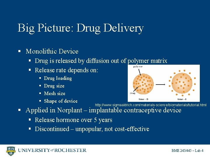 Big Picture: Drug Delivery § Monolithic Device § Drug is released by diffusion out