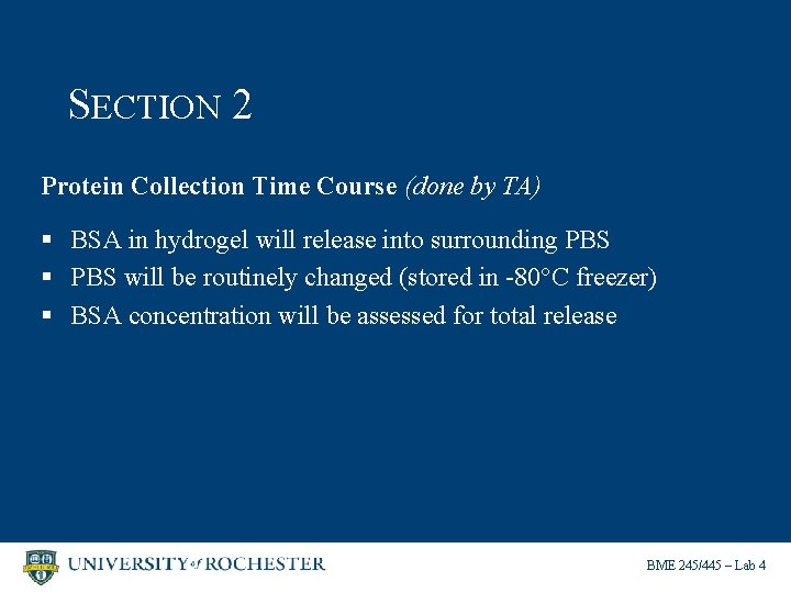 SECTION 2 Protein Collection Time Course (done by TA) § BSA in hydrogel will