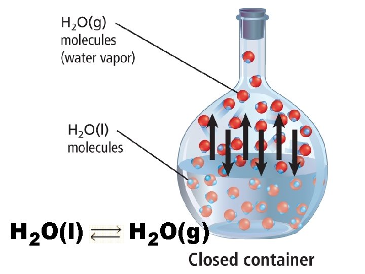 H 2 O(l) H 2 O(g) 