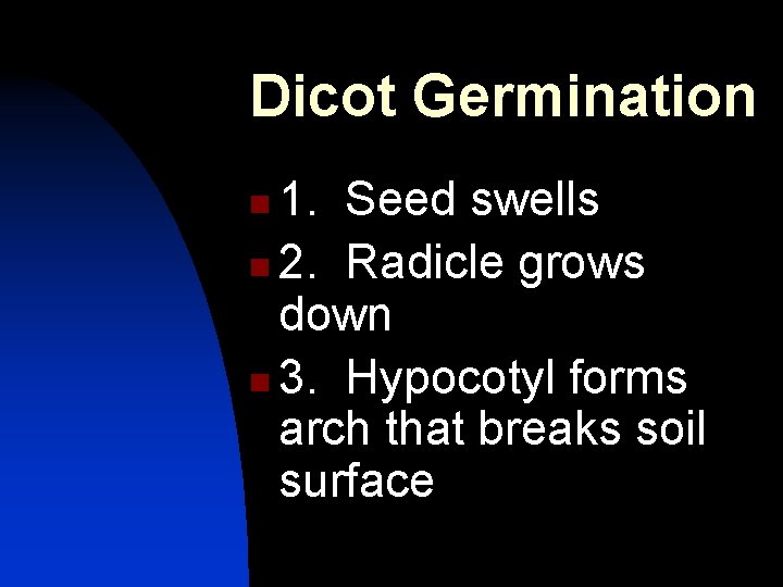 Dicot Germination 1. Seed swells n 2. Radicle grows down n 3. Hypocotyl forms