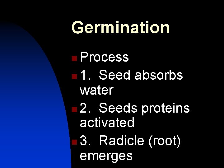 Germination Process n 1. Seed absorbs water n 2. Seeds proteins activated n 3.