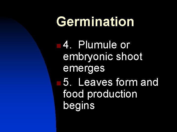 Germination 4. Plumule or embryonic shoot emerges n 5. Leaves form and food production