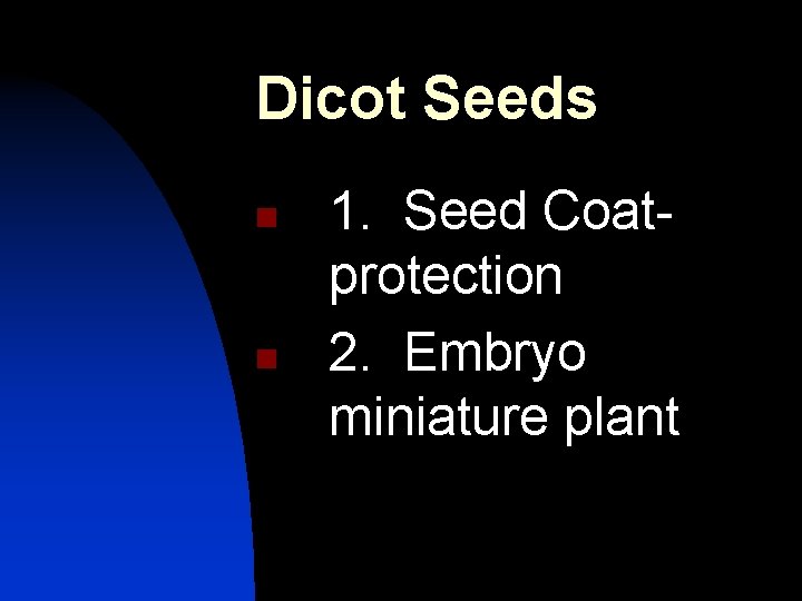 Dicot Seeds n n 1. Seed Coatprotection 2. Embryo miniature plant 