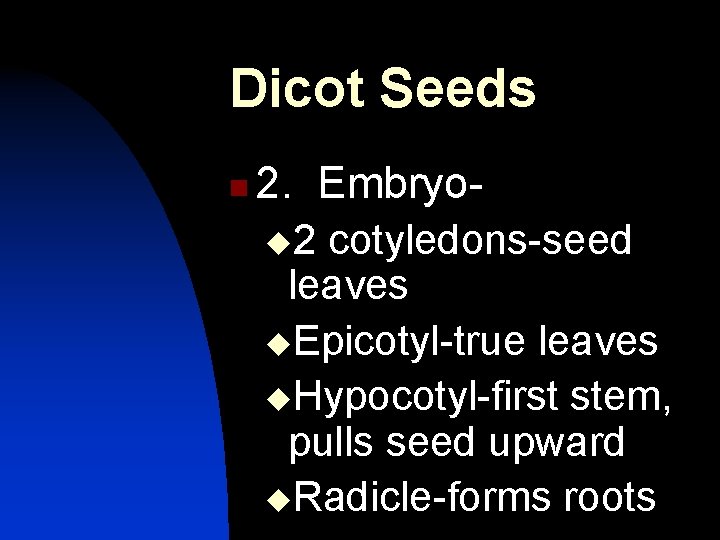 Dicot Seeds n 2. Embryou 2 cotyledons-seed leaves u. Epicotyl-true leaves u. Hypocotyl-first stem,