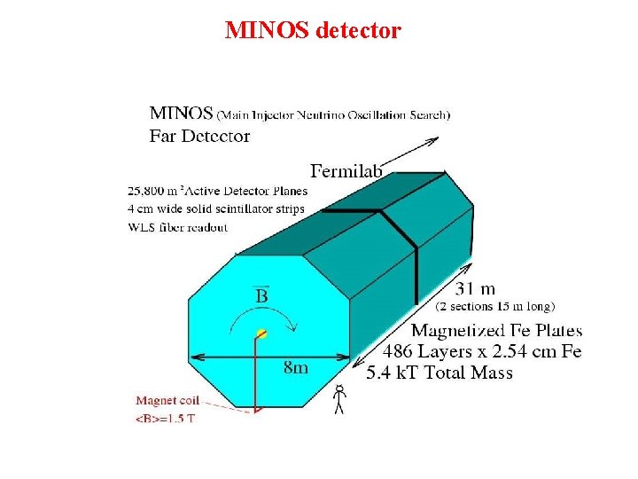 MINOS detector 