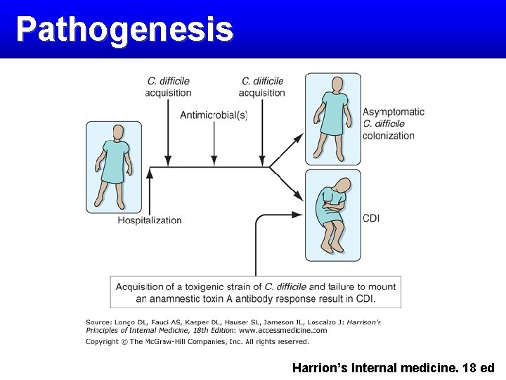 Pathogenesis Harrion’s Internal medicine. 18 ed 