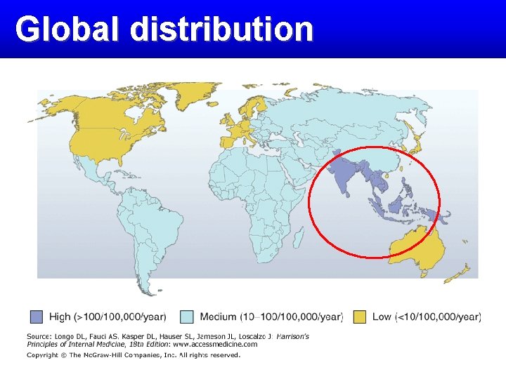 Global distribution 