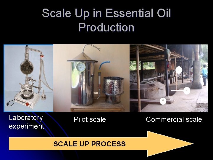Scale Up in Essential Oil Production Laboratory experiment Pilot scale SCALE UP PROCESS Commercial