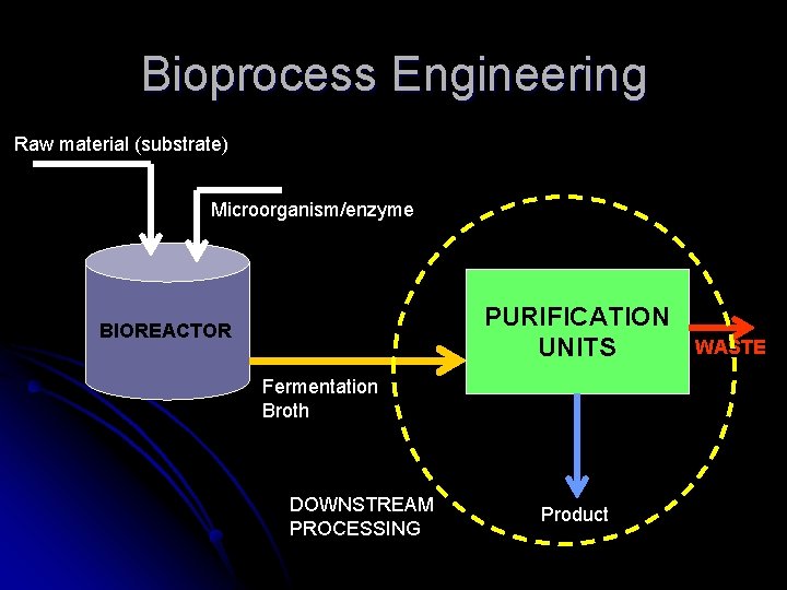 Bioprocess Engineering Raw material (substrate) Microorganism/enzyme PURIFICATION UNITS BIOREACTOR Fermentation Broth DOWNSTREAM PROCESSING Product