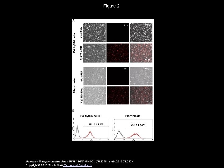 Figure 2 Molecular Therapy - Nucleic Acids 2018 11475 -484 DOI: (10. 1016/j. omtn.