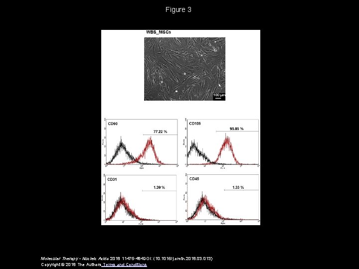 Figure 3 Molecular Therapy - Nucleic Acids 2018 11475 -484 DOI: (10. 1016/j. omtn.