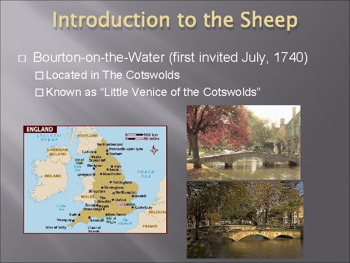 Introduction to the Sheep � Bourton-on-the-Water (first invited July, 1740) � Located in The