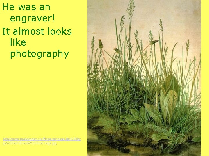 He was an engraver! It almost looks like photography http: //www. washacadsci. org/flowers/grasses-the%20 lar