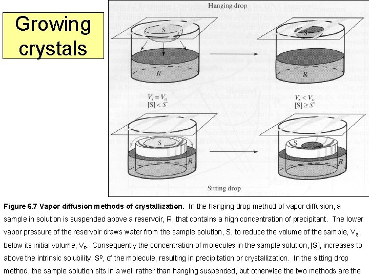 Growing crystals Figure 6. 7 Vapor diffusion methods of crystallization. In the hanging drop