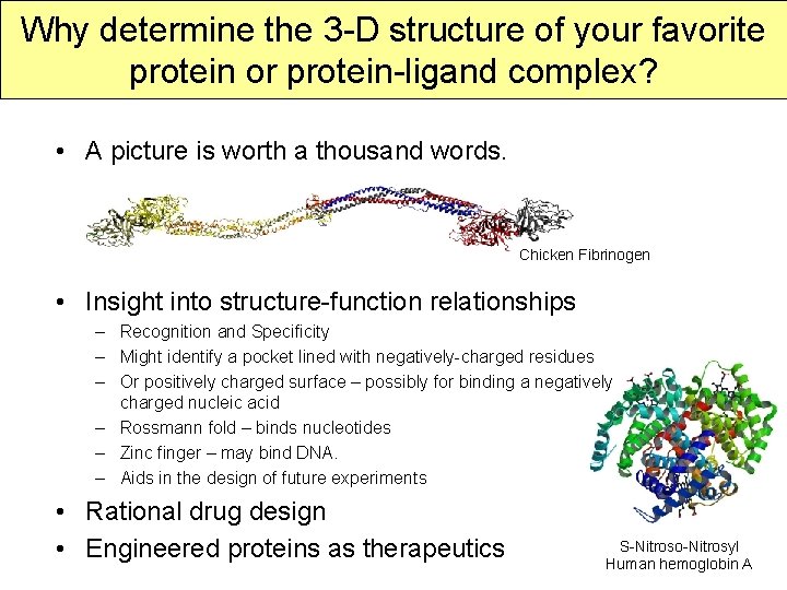 Why determine the 3 -D structure of your favorite protein or protein-ligand complex? •