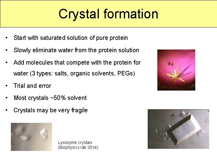 Crystal formation • Start with saturated solution of pure protein • Slowly eliminate water