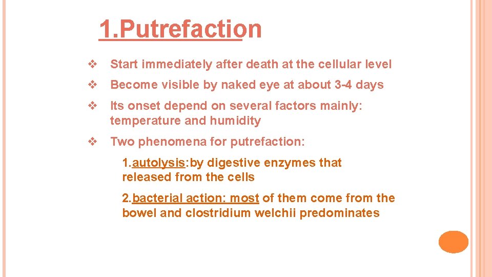 1. Putrefaction v Start immediately after death at the cellular level v Become visible