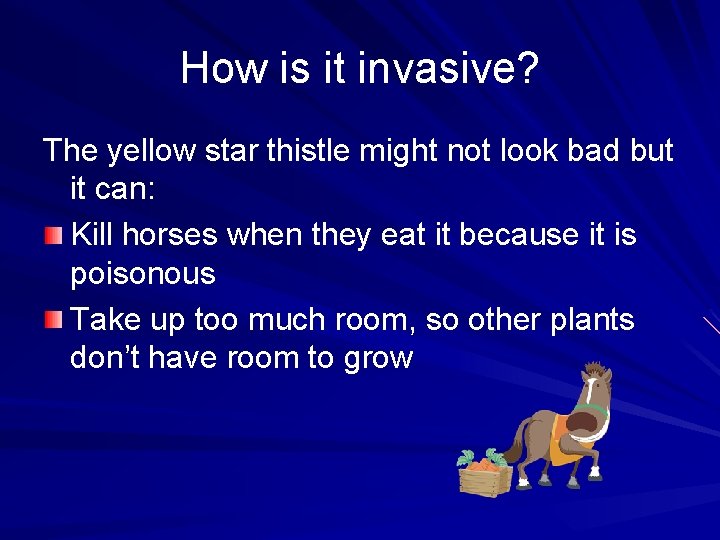 How is it invasive? The yellow star thistle might not look bad but it
