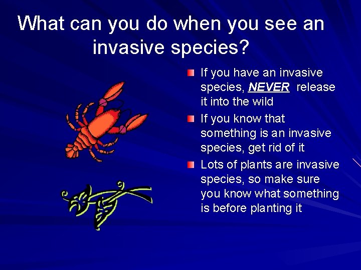 What can you do when you see an invasive species? If you have an