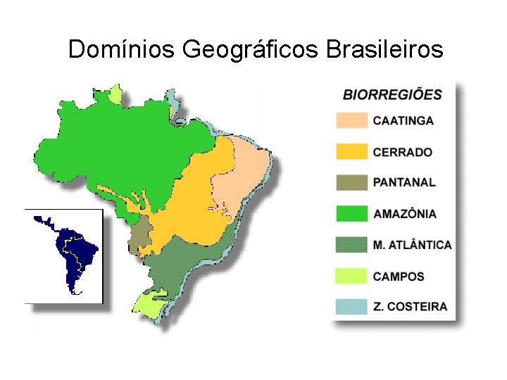 Domínios Geográficos Brasileiros 