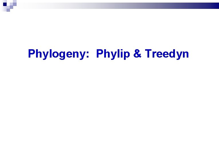 Phylogeny: Phylip & Treedyn 