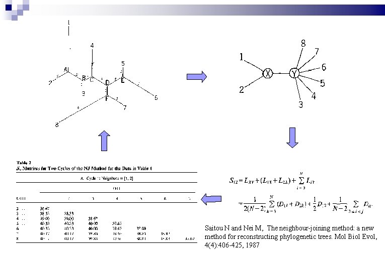 Saitou N and Nei M, The neighbour-joining method: a new method for reconstructing phylogenetic