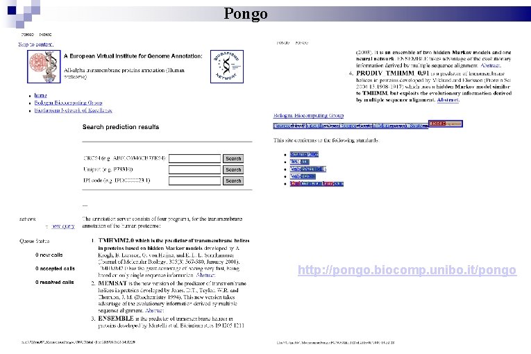 Pongo http: //pongo. biocomp. unibo. it/pongo 