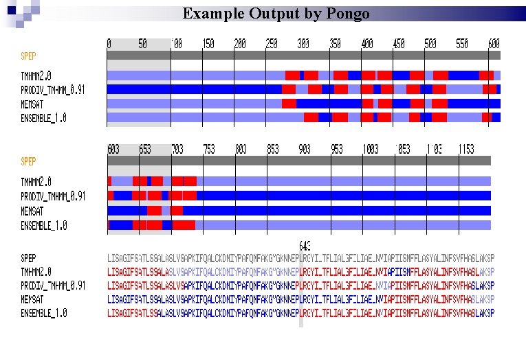Example Output by Pongo 