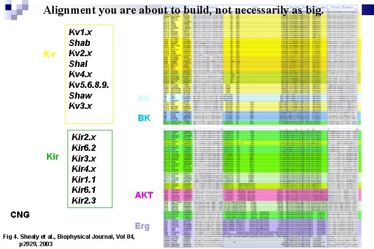 Alignment you are about to build, not necessarily as big. Kv Kv 1. x