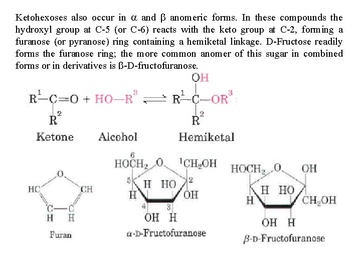 Ketohexoses also occur in a and b anomeric forms. In these compounds the hydroxyl