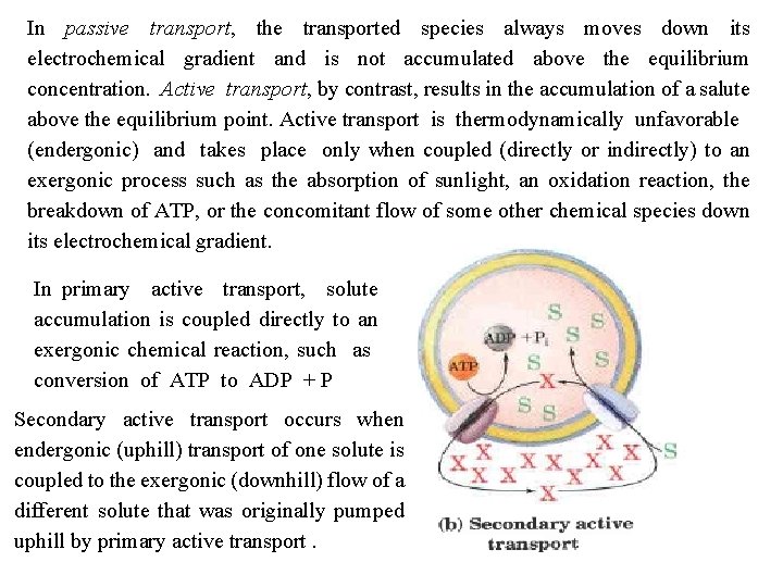 In passive transport, the transported species always moves down its electrochemical gradient and is