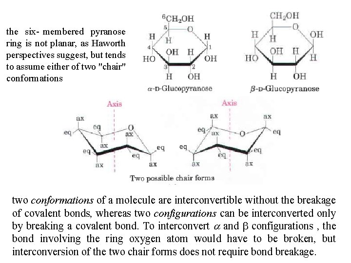 the six membered pyranose ring is not planar, as Haworth perspectives suggest, but tends