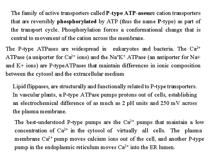 The family of active transporters called P type ATP asesare cation transporters that are