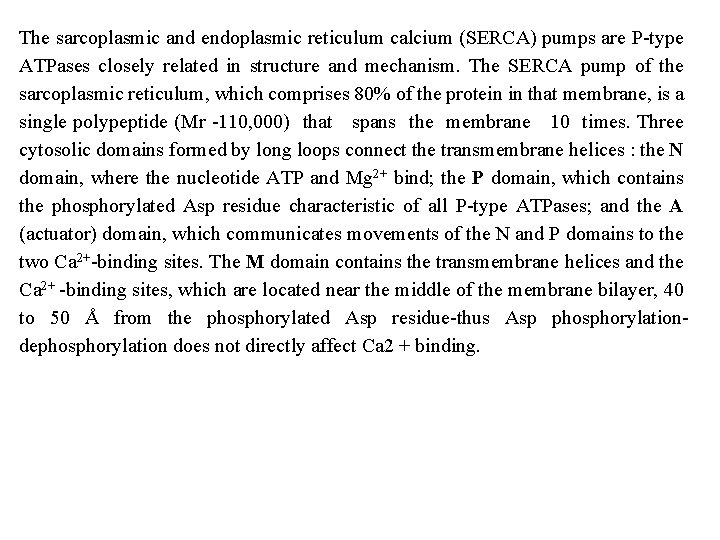 The sarcoplasmic and endoplasmic reticulum calcium (SERCA) pumps are P type ATPases closely related