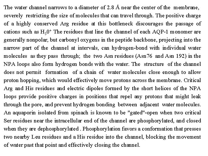 The water channel narrows to a diameter of 2. 8 Å near the center