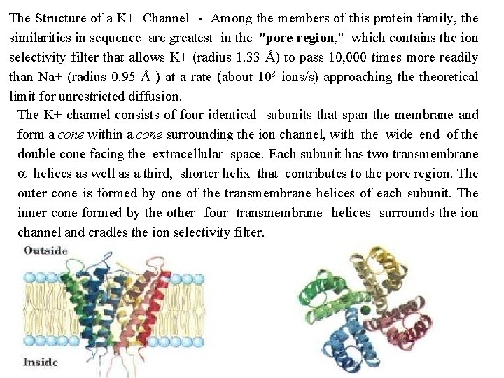 The Structure of a K+ Channel Among the members of this protein family, the