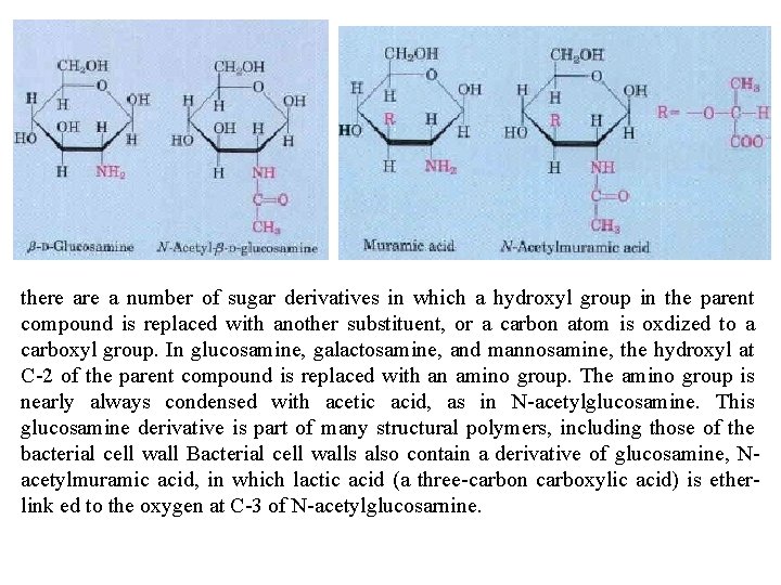 there a number of sugar derivatives in which a hydroxyl group in the parent