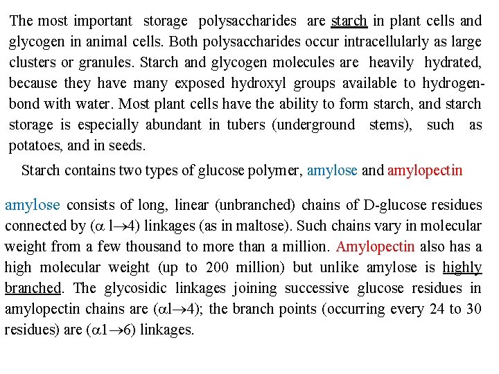 The most important storage polysaccharides are starch in plant cells and glycogen in animal