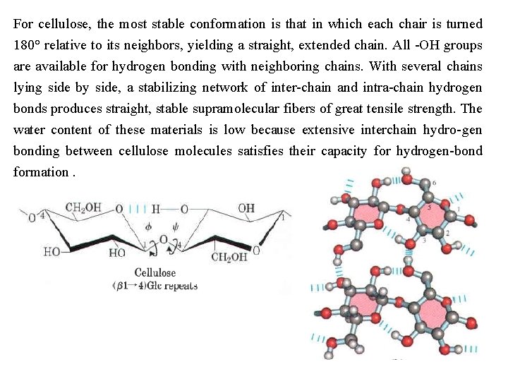 For cellulose, the most stable conformation is that in which each chair is turned