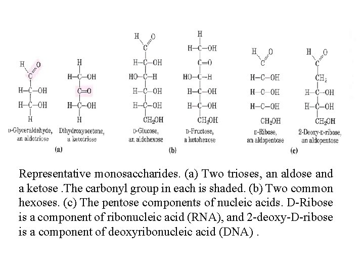 Representative monosaccharides. (a) Two trioses, an aldose and a ketose. The carbonyl group in