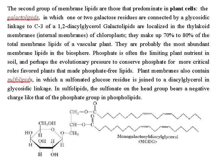 The second group of membrane lipids are those that predominate in plant cells: the