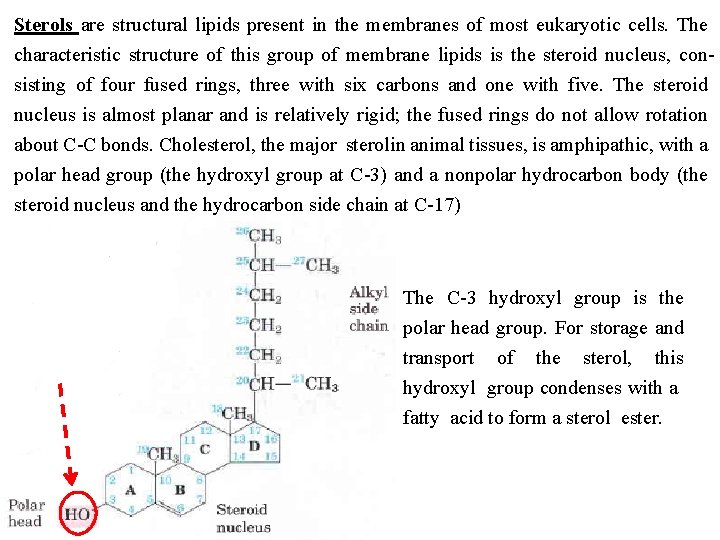 Sterols are structural lipids present in the membranes of most eukaryotic cells. The characteristic