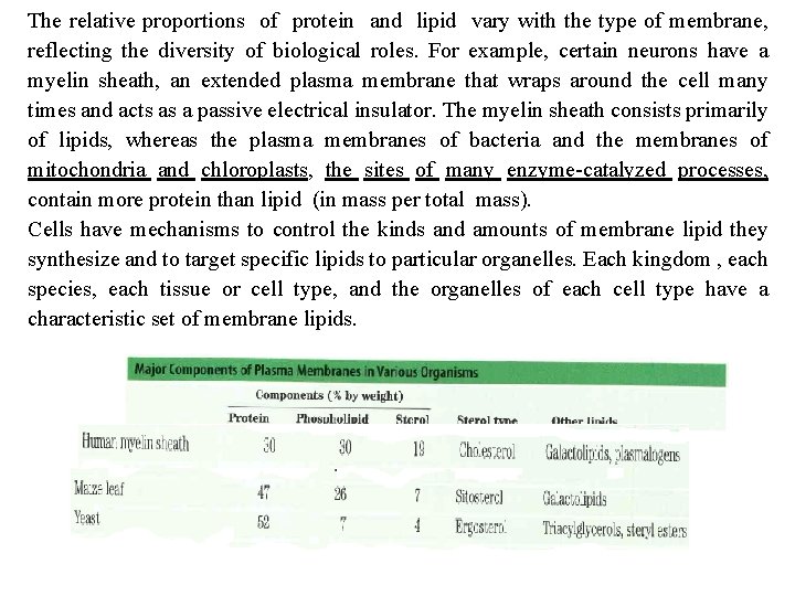The relative proportions of protein and lipid vary with the type of membrane, reflecting