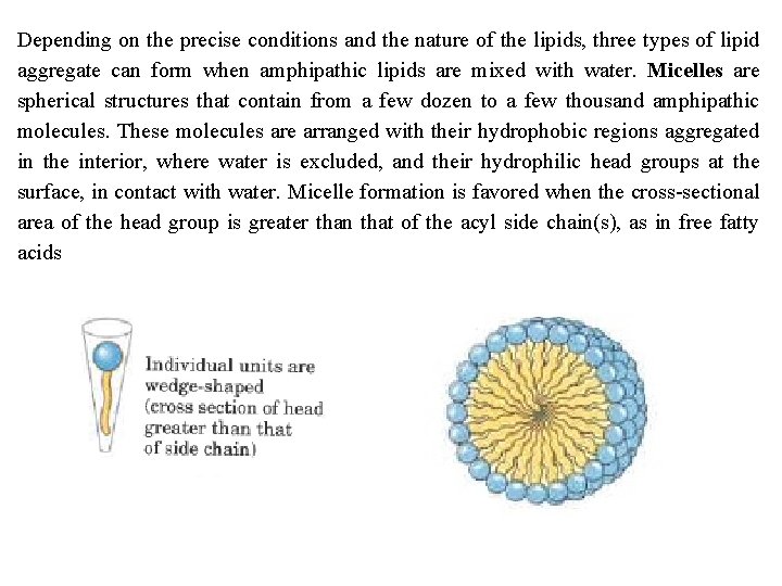 Depending on the precise conditions and the nature of the lipids, three types of