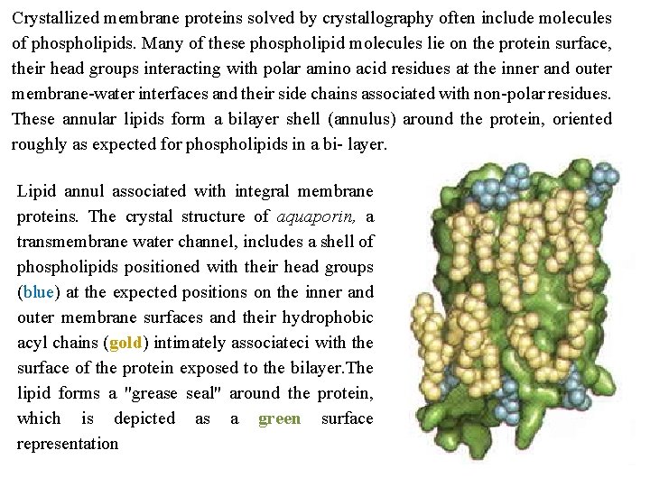 Crystallized membrane proteins solved by crystallography often include molecules of phospholipids. Many of these